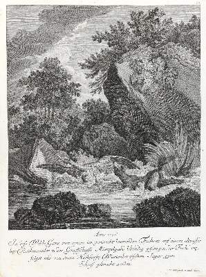 Bild Nr.1: 133-2107 Ridinger,E.J.: (Varia, Jagd, Füchse)
