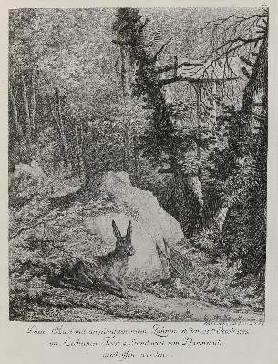 Bild Nr.1: 133-2111 Ridinger,E.J.: (Varia, Jagd, Hasen)