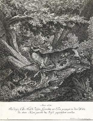 Bild Nr.1: 133-2115 Ridinger,E.J.: (Varia, Jagd, Hirsche)