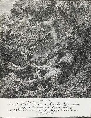 Bild Nr.1: 133-2117 Ridinger,E.J.: (Varia, Jagd, Hirsche)