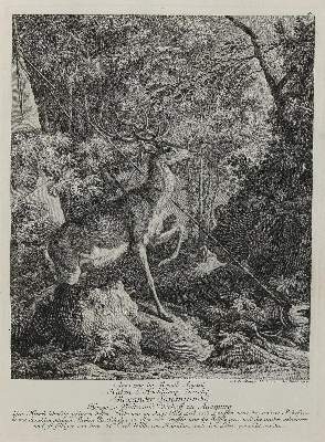 Bild Nr.1: 133-2118 Ridinger,E.J.: (Varia, Jagd, Hirsche)