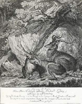 Bild Nr.1: 133-2119 Ridinger,E.J.: (Varia, Jagd, Hirsche)