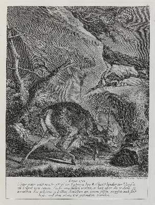 Bild Nr.1: 133-2120 Ridinger,E.J.: (Varia, Jagd, Hirsche)