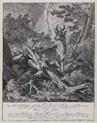 Bild Nr.1: 133-2122 Ridinger,E.J.: (Varia, Jagd, Hirsche)