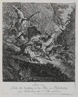 Bild Nr.1: 133-2125 Ridinger,E.J.: (Varia, Jagd, Hirsche)