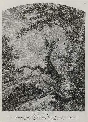 Bild Nr.1: 133-2131 Ridinger,E.J.: (Varia, Jagd, Hirsche)