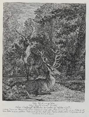 Bild Nr.1: 133-2136 Ridinger,E.J.: (Varia, Jagd, Hirsche)