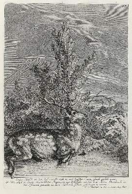 Bild Nr.1: 133-2138 Ridinger,E.J.: (Varia, Jagd, Hirsche)