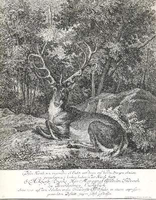 Bild Nr.1: 133-2140 Ridinger,E.J.: (Varia, Jagd, Hirsche)