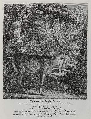 Bild Nr.1: 133-2142 Ridinger,E.J.: (Varia, Jagd, Hirsche)