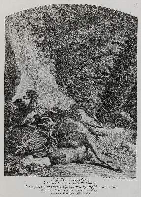 Bild Nr.1: 133-2143 Ridinger,E.J.: (Varia, Jagd, Hirsche)