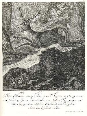 Bild Nr.1: 133-2145 Ridinger,E.J.: (Varia, Jagd, Hirsche)