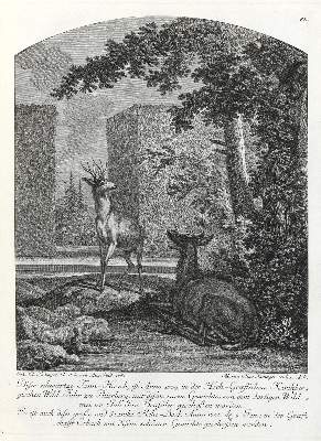 Bild Nr.1: 133-2146 Ridinger,E.J.: (Varia, Jagd, Hirsche)