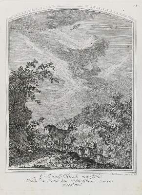 Bild Nr.1: 133-2147 Ridinger,E.J.: (Varia, Jagd, Hirsche)