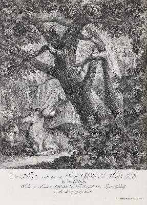 Bild Nr.1: 133-2148 Ridinger,E.J.: (Varia, Jagd, Hirsche)