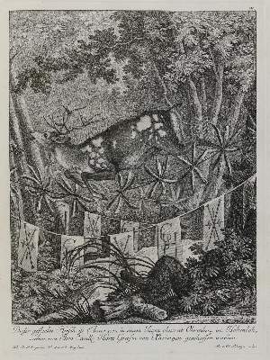 Bild Nr.1: 133-2149 Ridinger,E.J.: (Varia, Jagd, Hirsche)