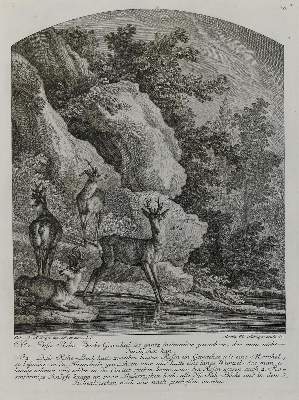 Bild Nr.1: 133-2152 Ridinger,E.J.: (Varia, Jagd, Hirsche)