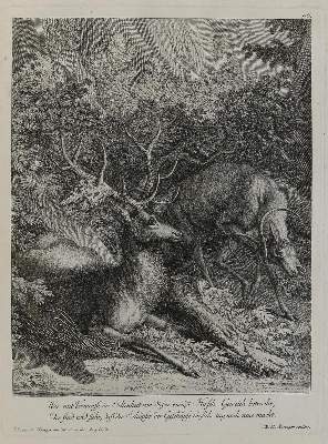 Bild Nr.1: 133-2154 Ridinger,E.J.: (Varia, Jagd, Hirsche)