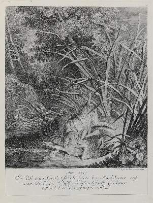 Bild Nr.1: 133-2155 Ridinger,E.J.: (Varia, Jagd, Hunde)