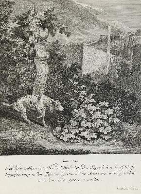 Bild Nr.1: 133-2156 Ridinger,E.J.: (Varia, Jagd, Hunde)