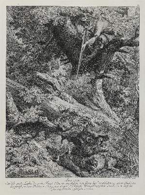 Bild Nr.1: 133-2162 Ridinger,E.J.: (Varia, Jagd, Luchs)