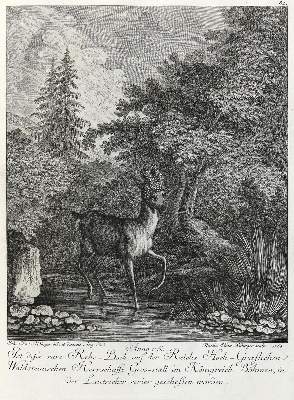 Bild Nr.1: 133-2165 Ridinger,E.J.: (Varia, Jagd, Rehe)