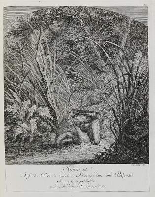 Bild Nr.1: 133-2166 Ridinger,E.J.: (Varia, Jagd, Vögel)
