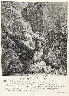 Bild Nr.1: 133-2167 Ridinger,E.J.: (Varia, Jagd, Vögel)