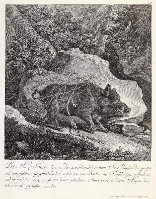 Bild Nr.1: 133-2170 Ridinger,E.J.: (Varia, Jagd, Wildschwein)