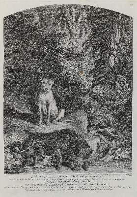 Bild Nr.1: 133-2171 Ridinger,E.J.: (Varia, Jagd, Wildschweine)