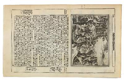 Bild Nr.1: 133-2199 Merian,M.: (Varia)