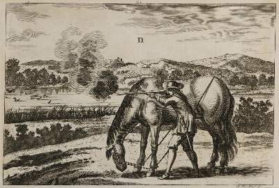 Bild Nr.21: 133-2223 Reitschule.: (Varia, Pferde)