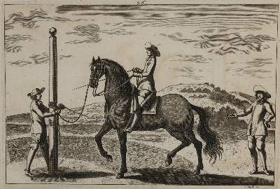 Bild Nr.22: 133-2223 Reitschule.: (Varia, Pferde)