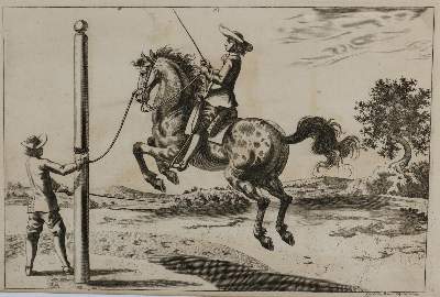Bild Nr.23: 133-2223 Reitschule.: (Varia, Pferde)