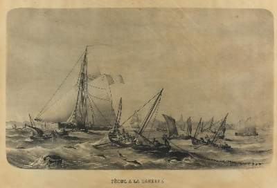 Bild Nr.6: 133-2242 Segelschiffe.: (Varia)