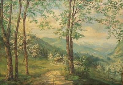 Bild Nr.2: 133-2248 Wald.: (Varia)