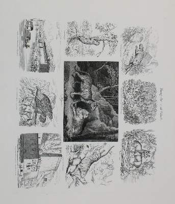 Bild Nr.2: 133-2523 Konvolut: (Asien, China)