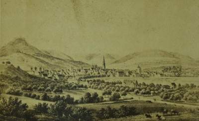 Bild Nr.3: 133-260 Album: (Handschriften, Stammbücher)