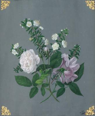 Bild Nr.1: 133-3529 Grimm, geb. Berger, Luise Dorothea Elisabeth: (Künstlergraphik)