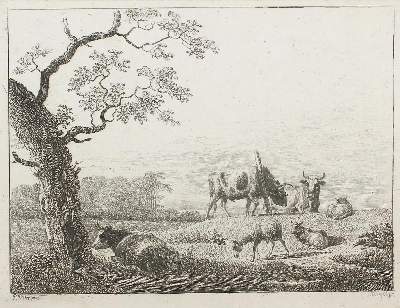 Bild Nr.1: 133-3715 Klengel, Johann Christian: (Künstlergraphik)