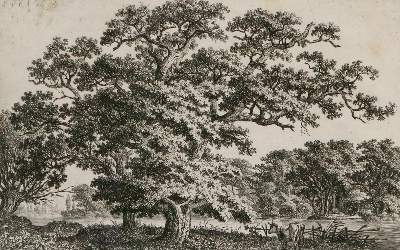 Bild Nr.1: 133-3736 Kolbe, Carl Wilhelm d.Ä.: (Künstlergraphik)