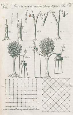 Bild Nr.1: 133-384 Glorez, A.: (Küche und Haushalt, Haushalt)