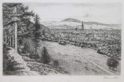 Bild Nr.4: 133-3843 Meier-Bitsch, Walther: (Künstlergraphik)