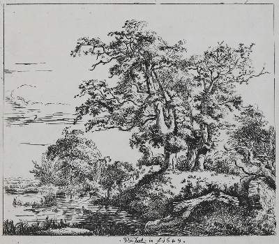 Bild Nr.1: 133-4016 Ruisdael, Jacob Isaackszoon: (Künstlergraphik)