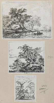 Bild Nr.2: 133-4016 Ruisdael, Jacob Isaackszoon: (Künstlergraphik)