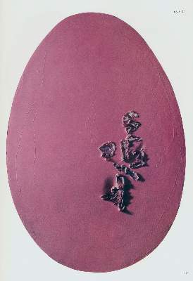Bild Nr.1: 133-492 Marck,J.v.d. u. E.Crispolti,: (Fontana)