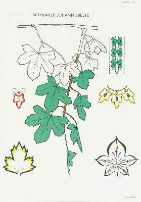 Bild Nr.2: 133-510 Bohla,A.: (Ornamente)