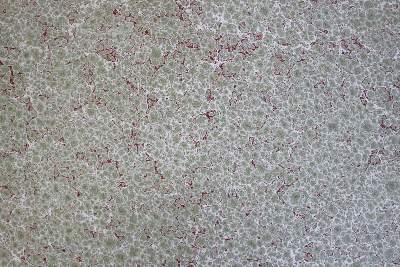 Bild Nr.2: 133-535 Papier.: (Buchbinderbedarf)