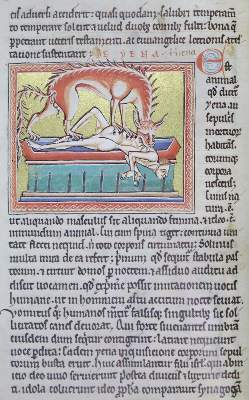 Bild Nr.2: 133-548 Bestiarium.: (Faksimile)