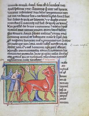 Bild Nr.3: 133-548 Bestiarium.: (Faksimile)